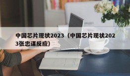 中国芯片现状2023（中国芯片现状2023张忠谋反应）